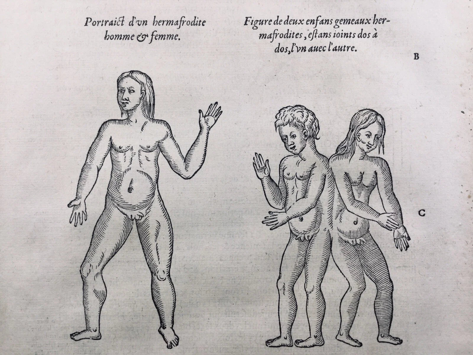 Fluidity & Identity: The Épicène, Androgyny, and New Masculinities
