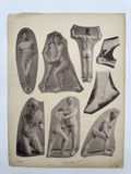 LE NU ESTHETIQUE (1903)